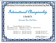 Hera's International Championship Certificate